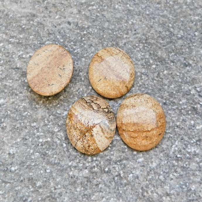 Bildjaspis cabochon, rund 25 mm