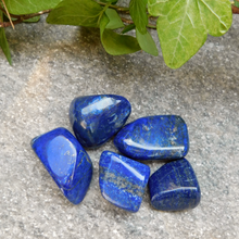 Ladda upp bild till gallerivisning, Lapis Lazuli, trumlad
