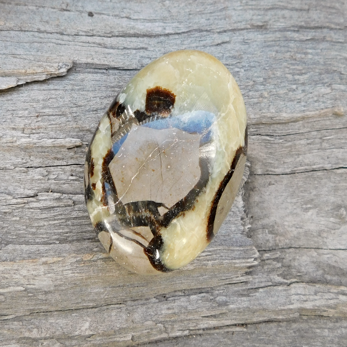 Septarian, pebble/handsten