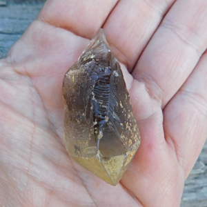 Naturlig rå Citrin spets - 20 gram