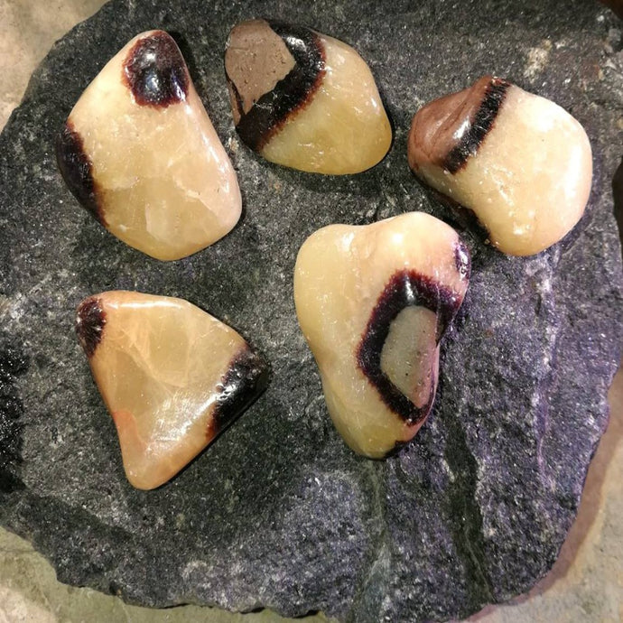 Septarian (Draksten), trumlad