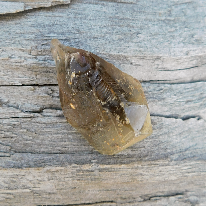Naturlig rå Citrin spets - 20 gram