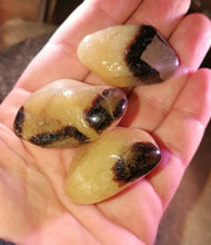Ladda upp bild till gallerivisning, Septarian (Draksten), trumlad

