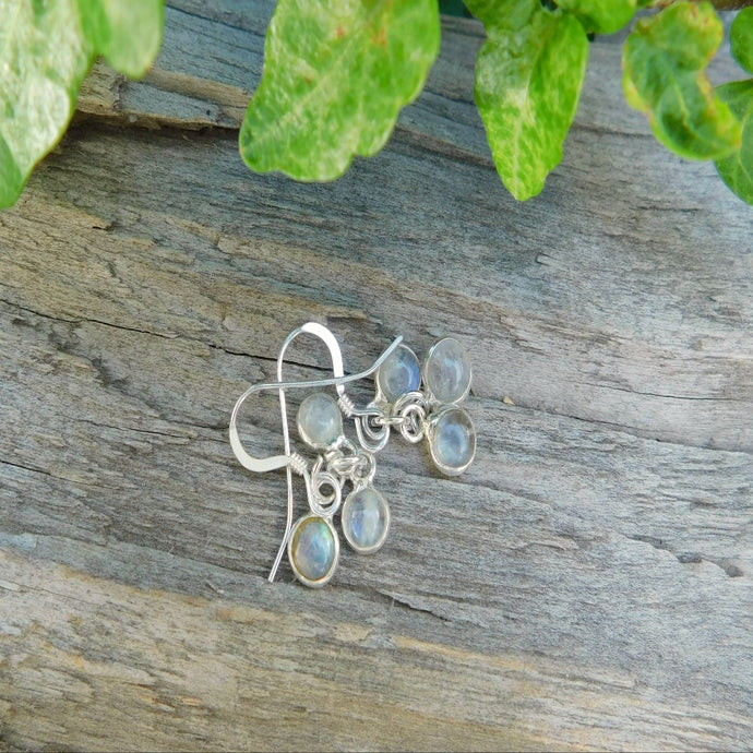 Örhängen, Regnbågsmånsten-sterling silver 925