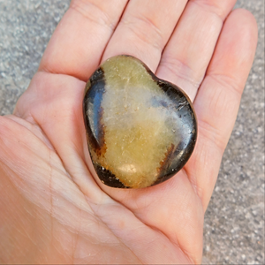 Septarian, hjärta