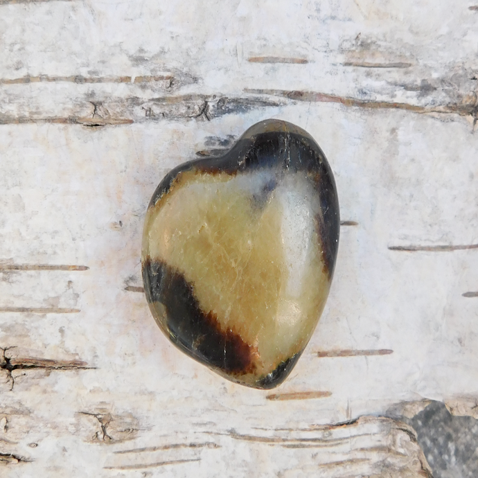 Septarian, hjärta